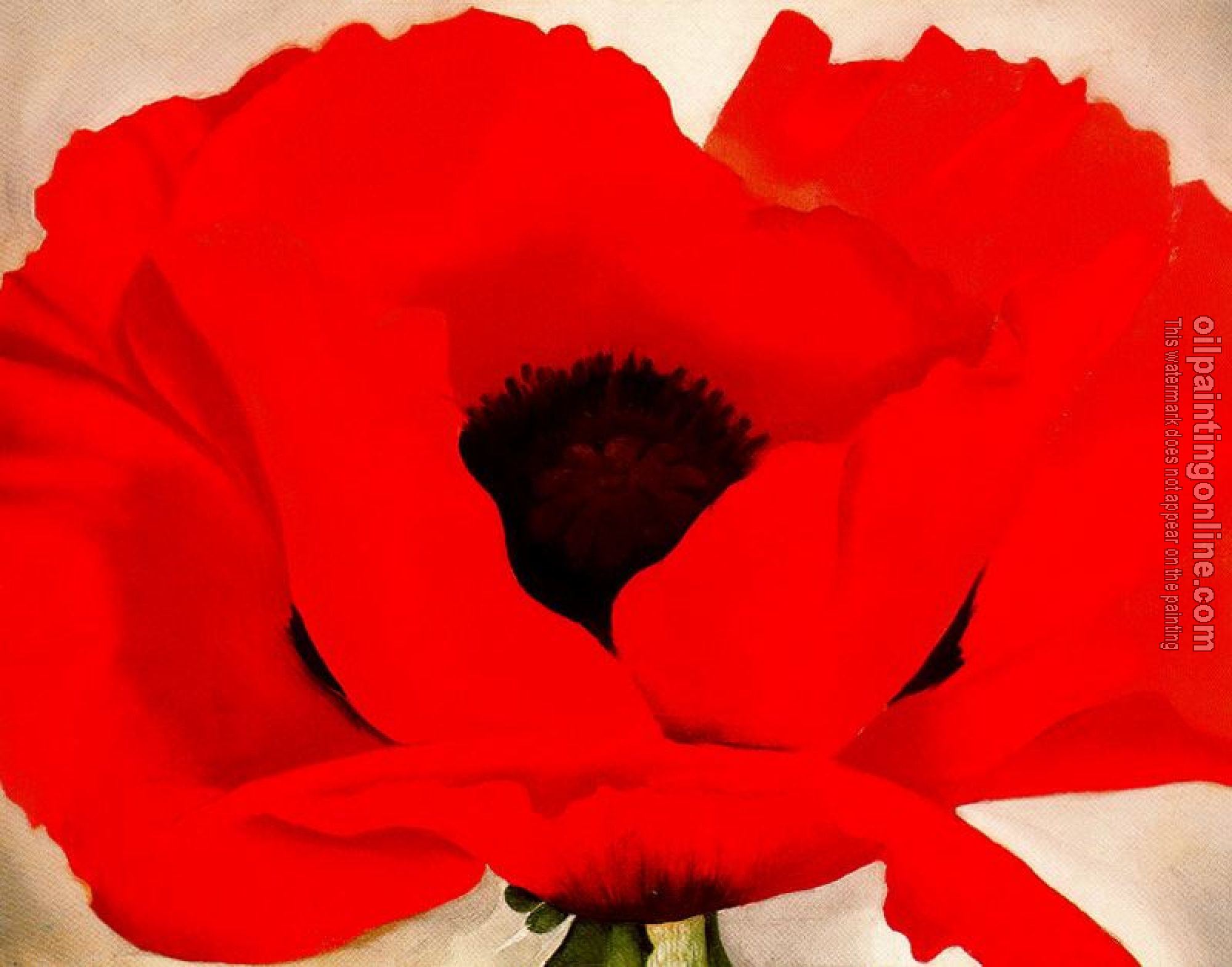 O Keeffe, Georgia - Red Poppy